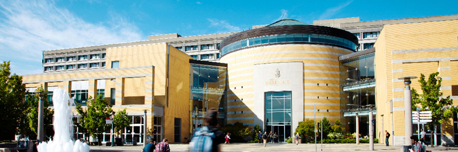 约克大学