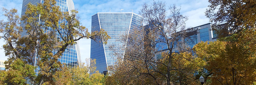 EE特快系统移民